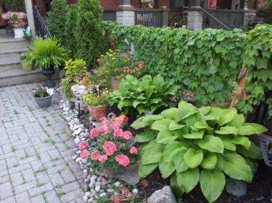 A Hidden Gem Bed And Breakfast Windsor Luaran gambar